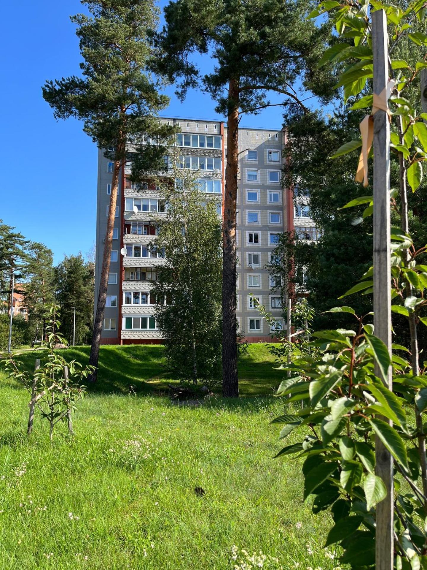 Pine Apartment Вісаґінас Екстер'єр фото