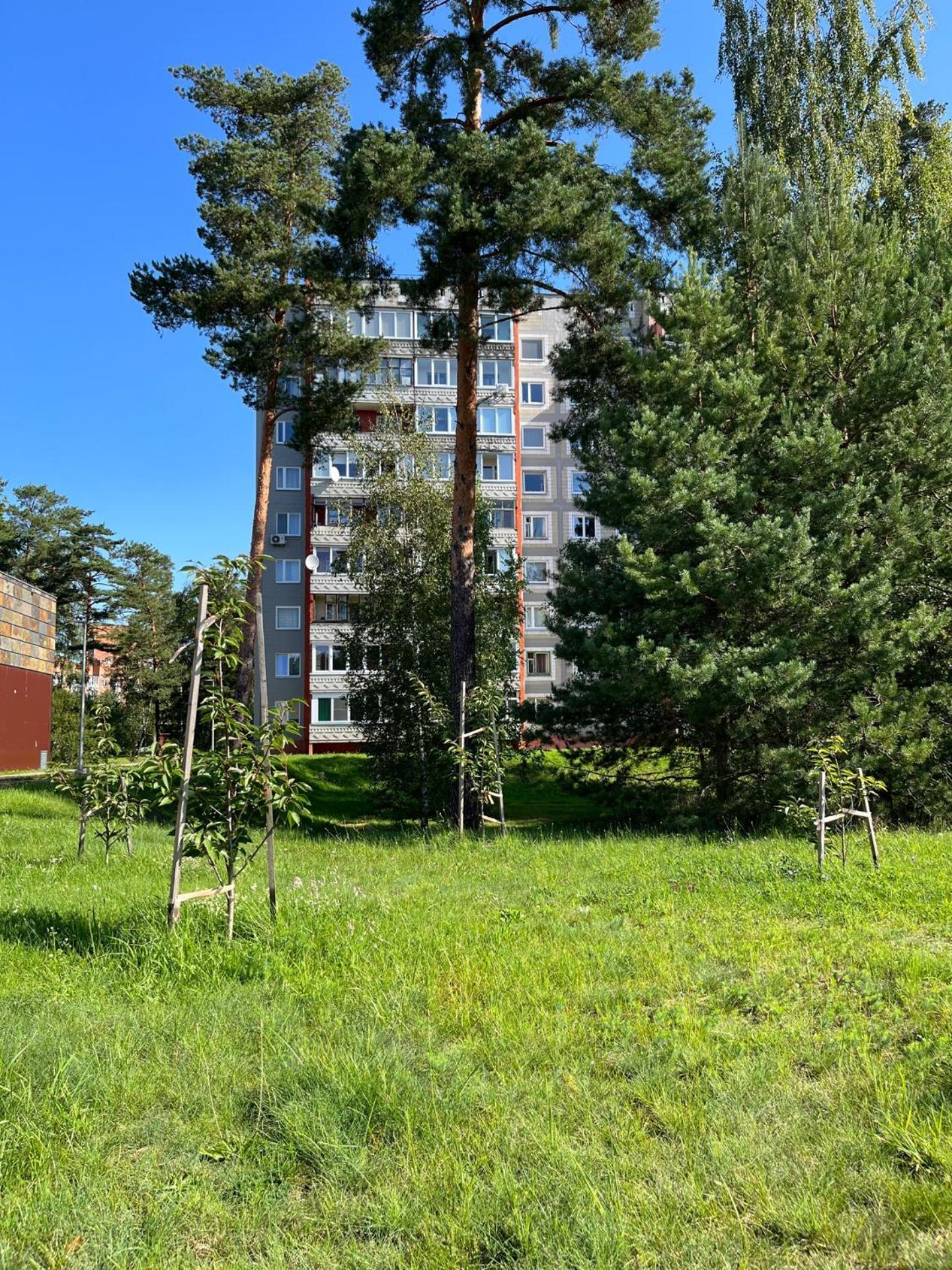 Pine Apartment Вісаґінас Екстер'єр фото